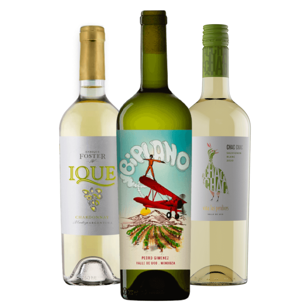 Kit Vinhos Brancos Argentinos: Ique, Biplano, Chac Chac