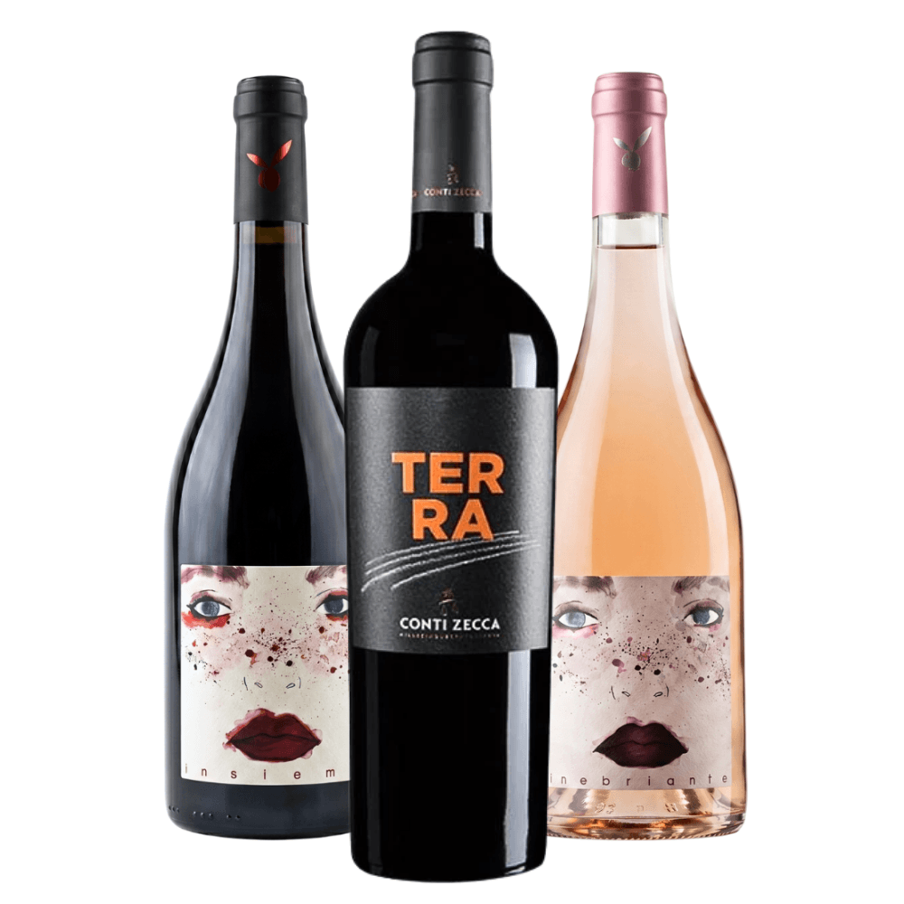 Kit Vinhos Italianos: Merlot, Aglianico, Sangiovese Rosé
