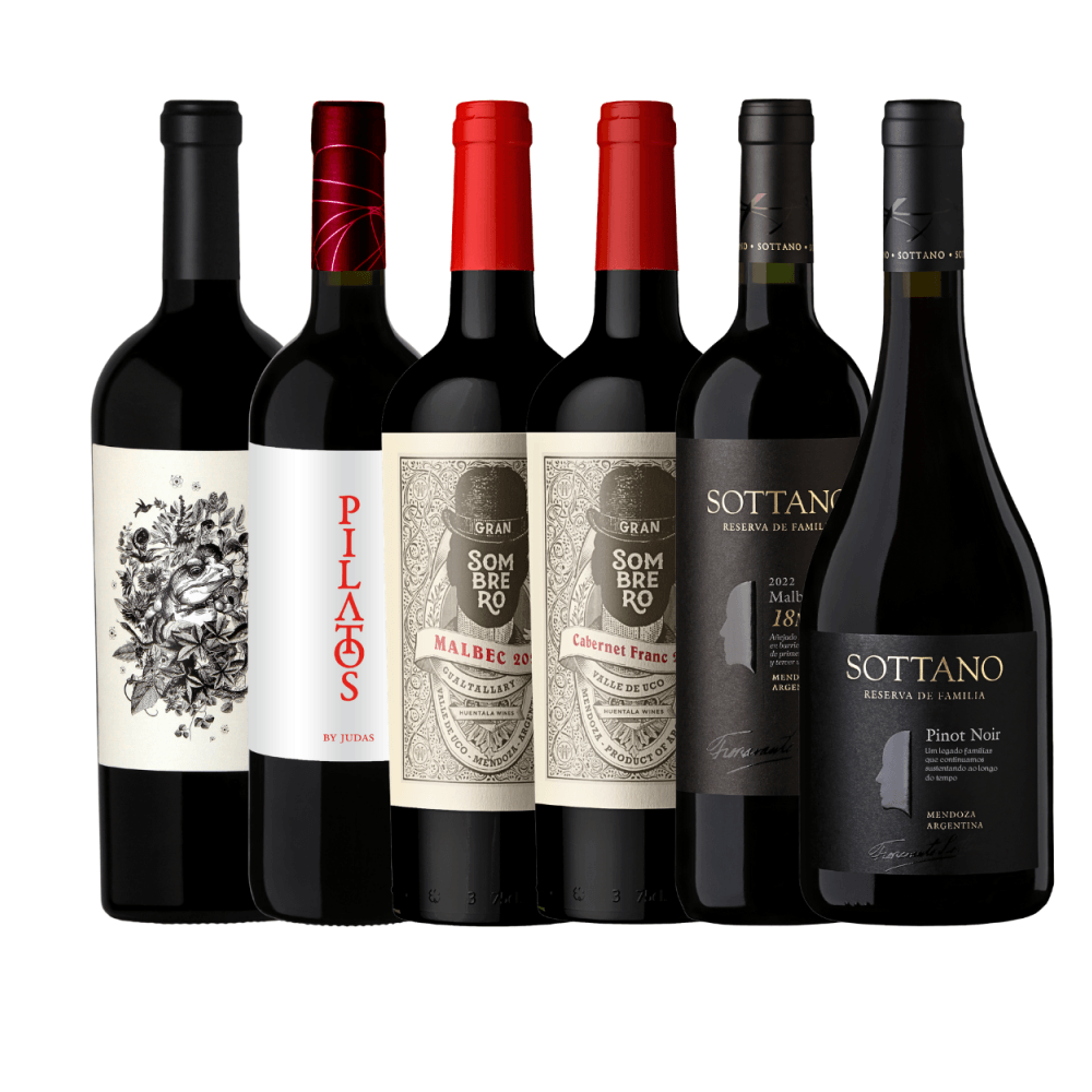 Kit Vinhos Tintos Argentina - 6 Unidades