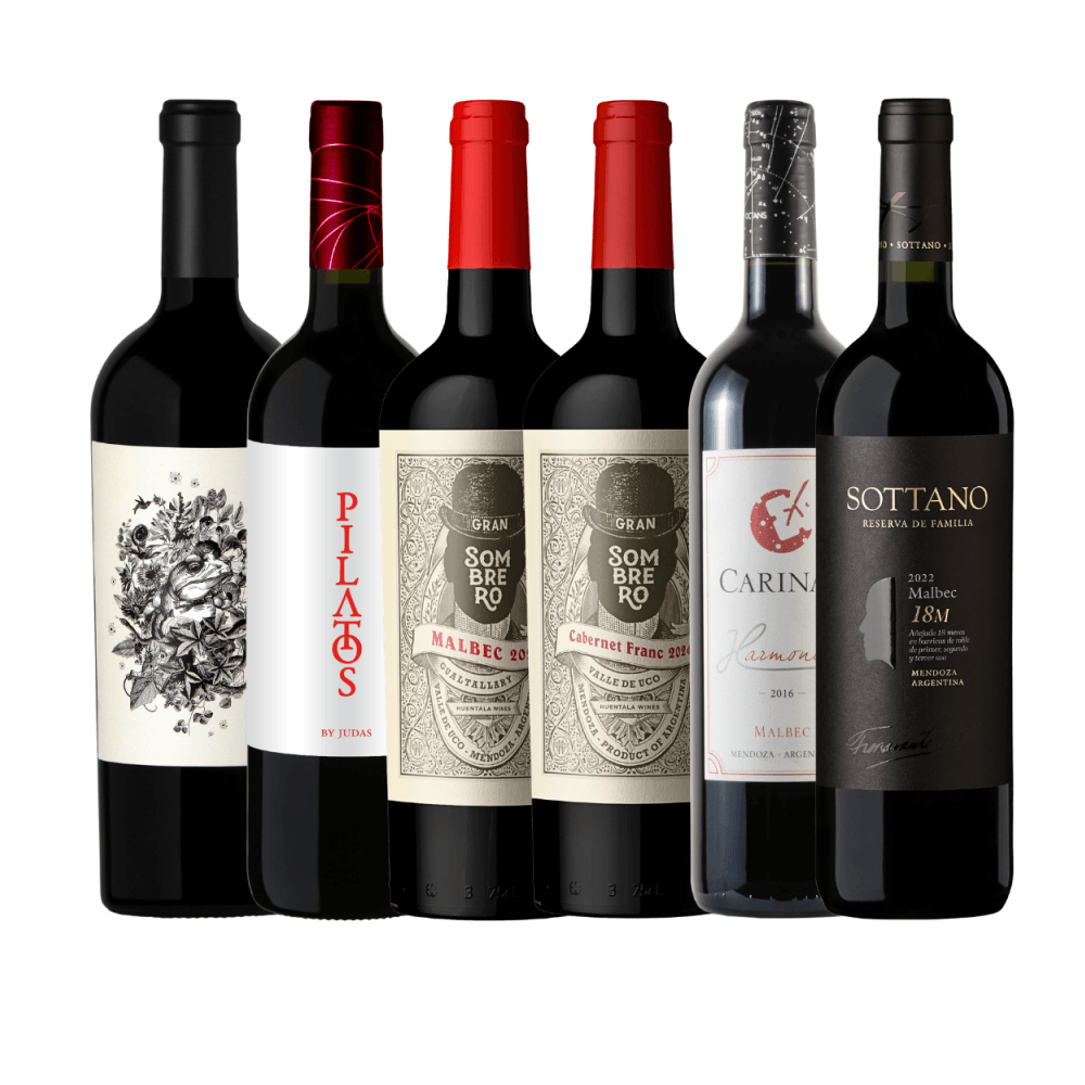 Kit Vinhos Tintos Argentina - 6 Unidades