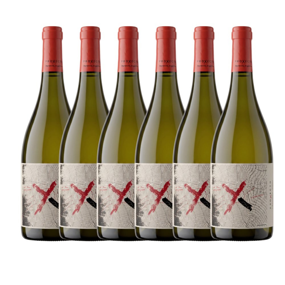 Vinho Branco Proyecto X El Inicio Chardonnay Los Chacayes Mendoza - 6 Unidades