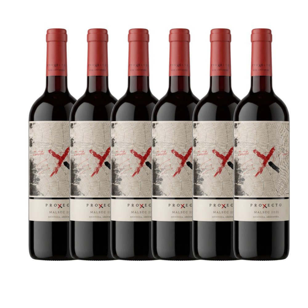 Vinho Tinto Proyecto X El Inicio Malbec Los Chacayes Valle de Uco - 6 Unidades
