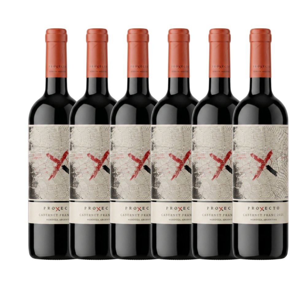 Vinho Tinto Proyecto X Inicio Cabernet Franc Los Chacayes Valle de Uco - 6 Unidades