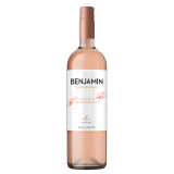 Vinho Benjamin Nieto Senetiner Suave e Refrescante Rosé 2021