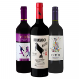 Kit Vinhos América do Sul: Felitche, Abrasado, Omm