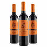 Kit Vinho Ciconia Alentejo Tinto - 3 Unidades