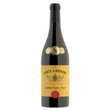 Vinho Forte Ambrone Vino Rosso