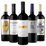 Kit Vinhos Tintos Argentinos - 5 Unidades