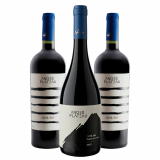 Kit Vinhos Andes Plateau Cota 500 Tintos - 3 Unidades