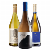 Kit Vinhos Brancos Argentina, Chile, Brasil