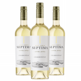 Vinho Bodegas Septima Emblema Chardonnay - 3 Unidades