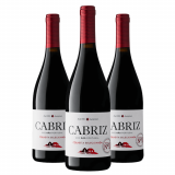Vinho Cabriz Colheita Selecionada Dão DOC - 3 Unidades