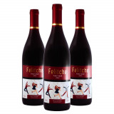 Vinho Felitche Pinot Noir - 3 Unidades