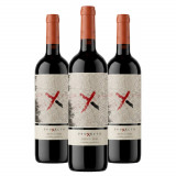 Vinho Tinto Proyecto X El Inicio Blend Malbec Cabernet Franc Los Chacayes Valle de Uco - 3 Unidades