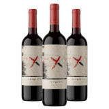 Vinho Tinto Proyecto X El Inicio Malbec Los Chacayes Valle de Uco - 3 Unidades